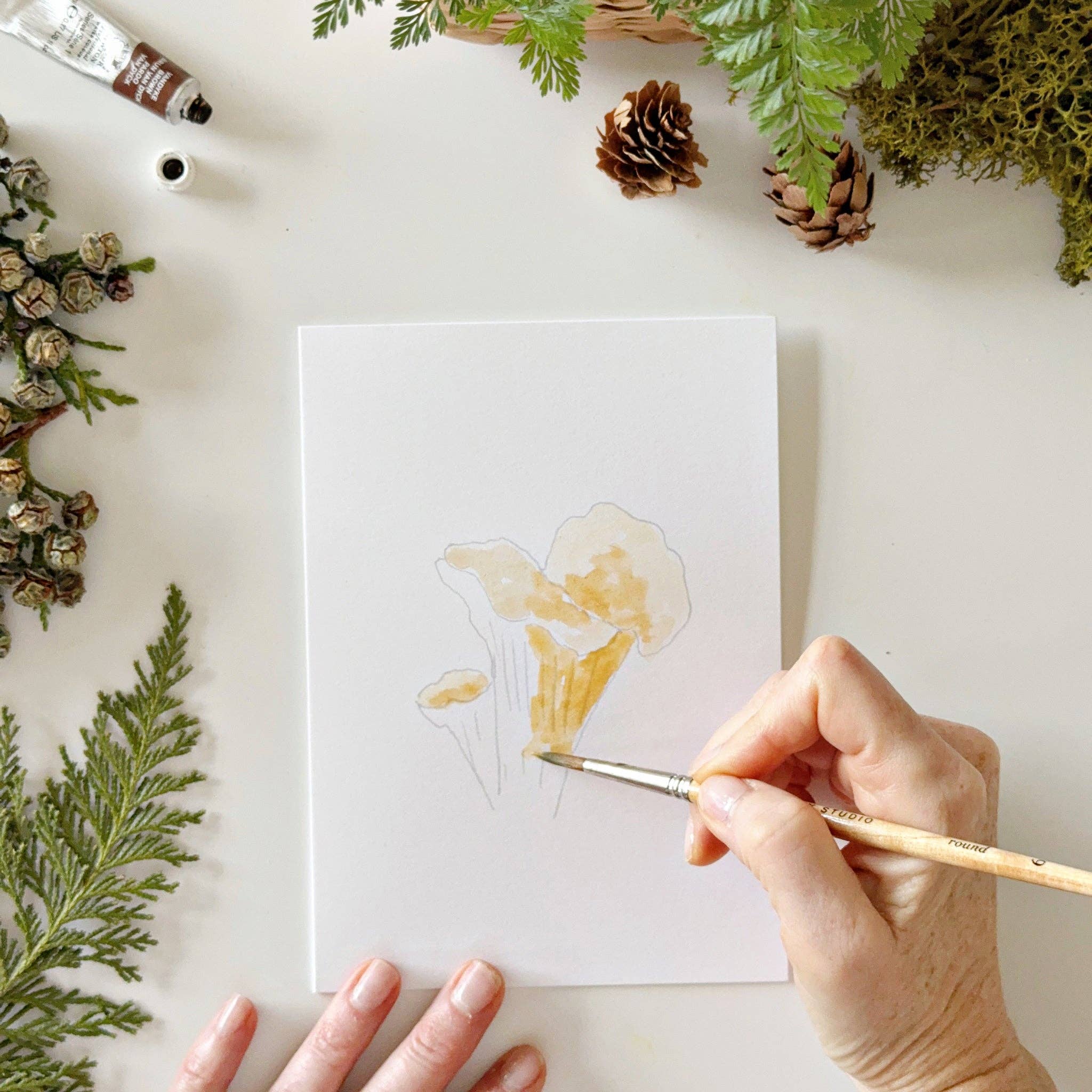 Mushrooms Paintable Notecards - Image 5