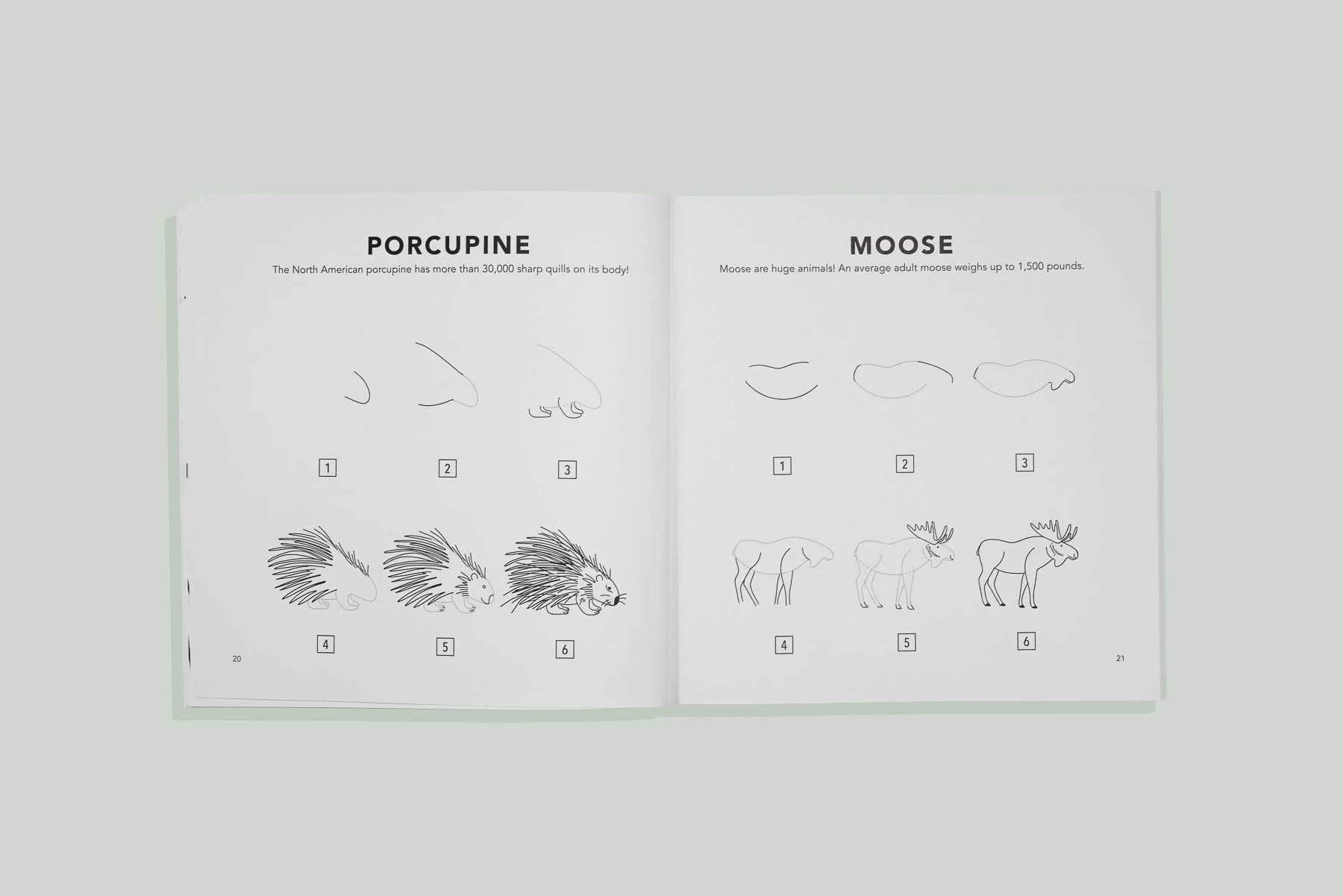 How to Draw Mushrooms & Woodland Creatures for Kids - Image 2