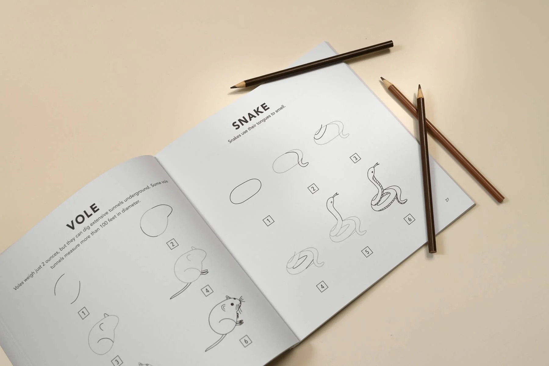 How to Draw Mushrooms & Woodland Creatures for Kids - Image 3