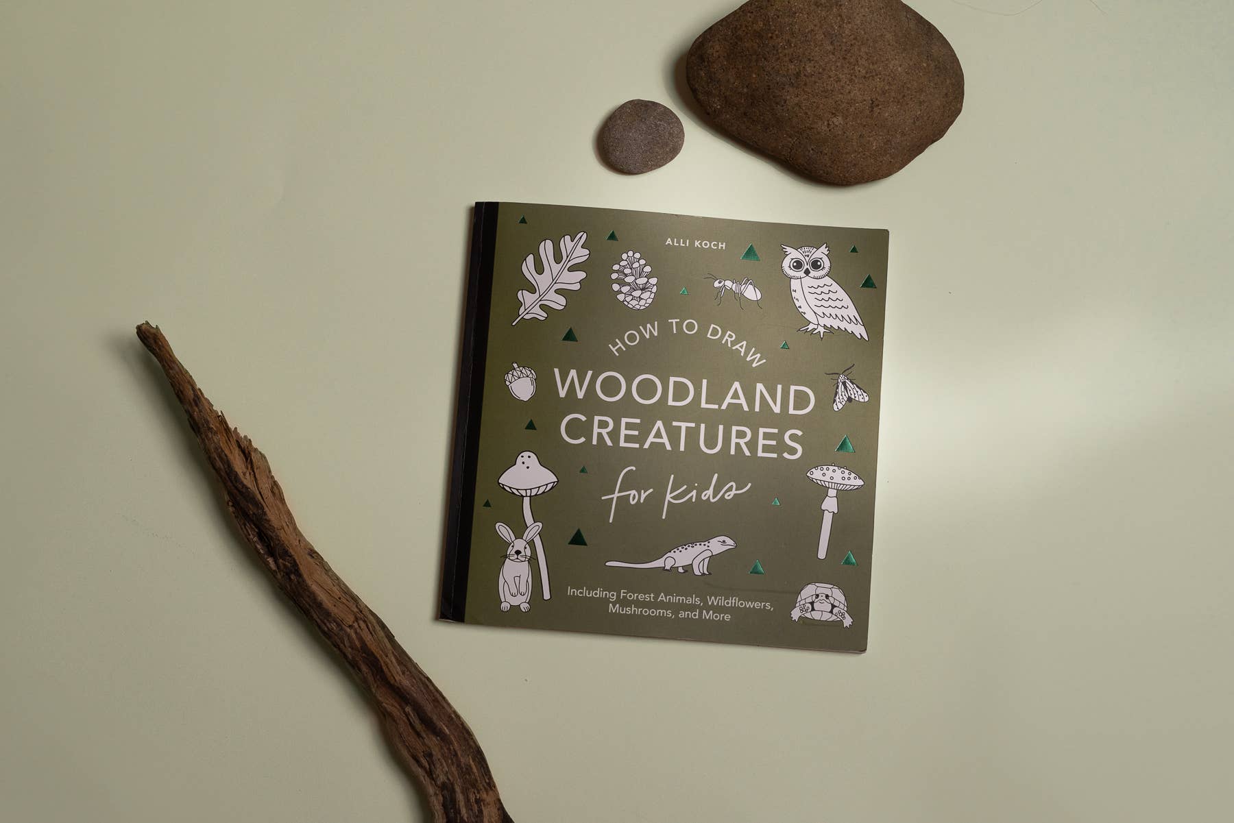How to Draw Mushrooms & Woodland Creatures for Kids - Image 4
