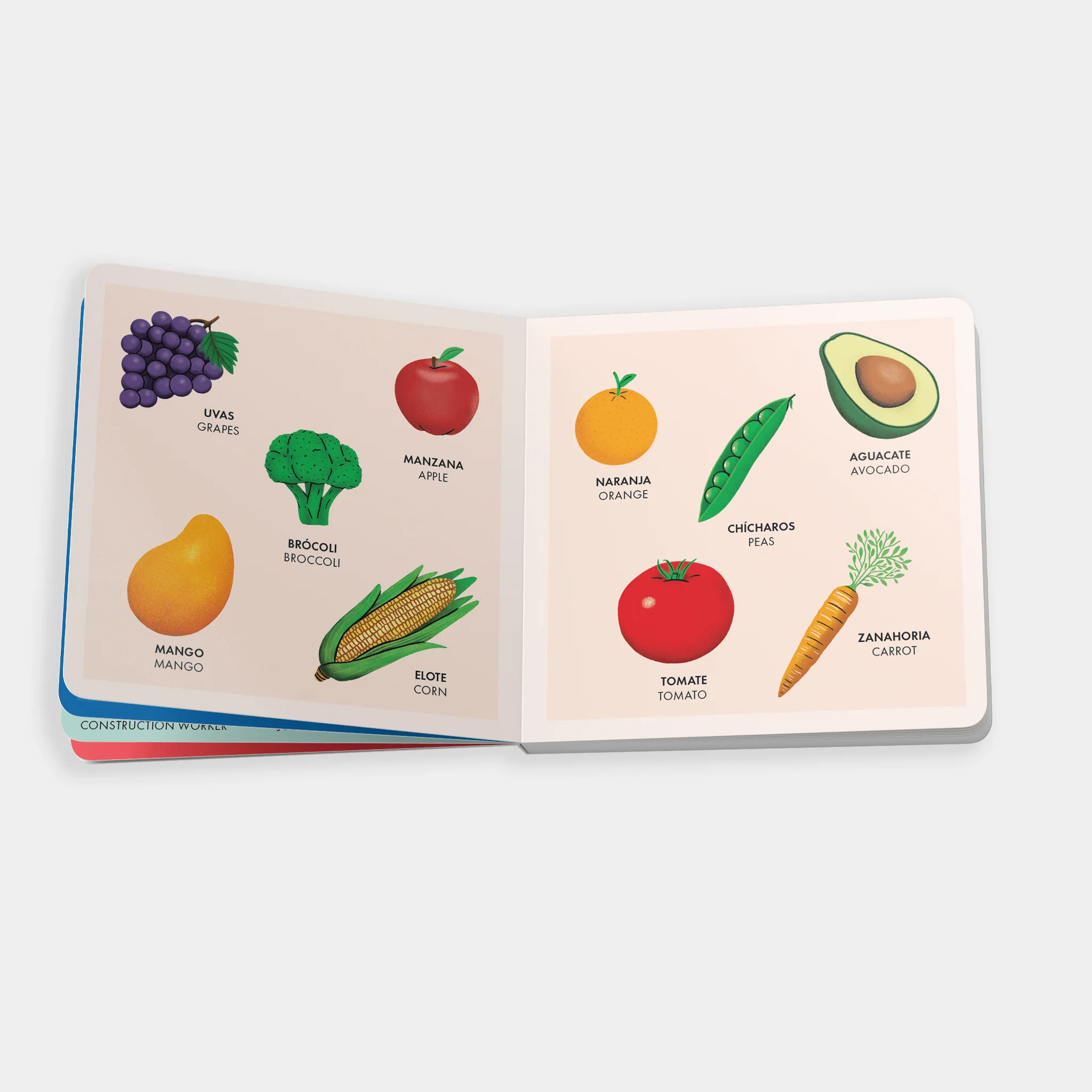 My Big Bilingual Book of First Words (English & Spanish) - Image 2