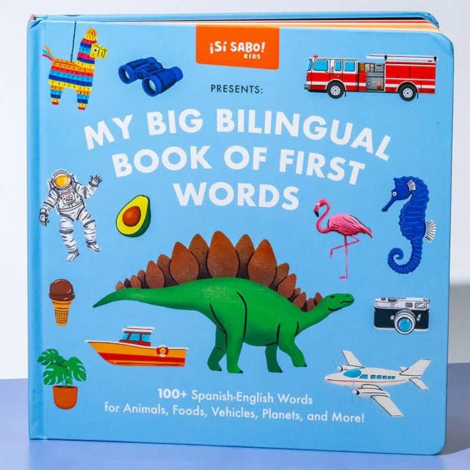 My Big Bilingual Book of First Words (English & Spanish) - Image 5