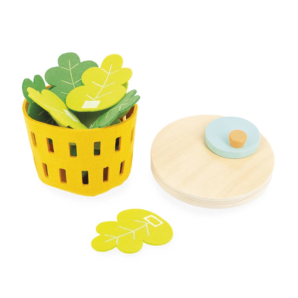 My Mixed Salad Set - Image 6