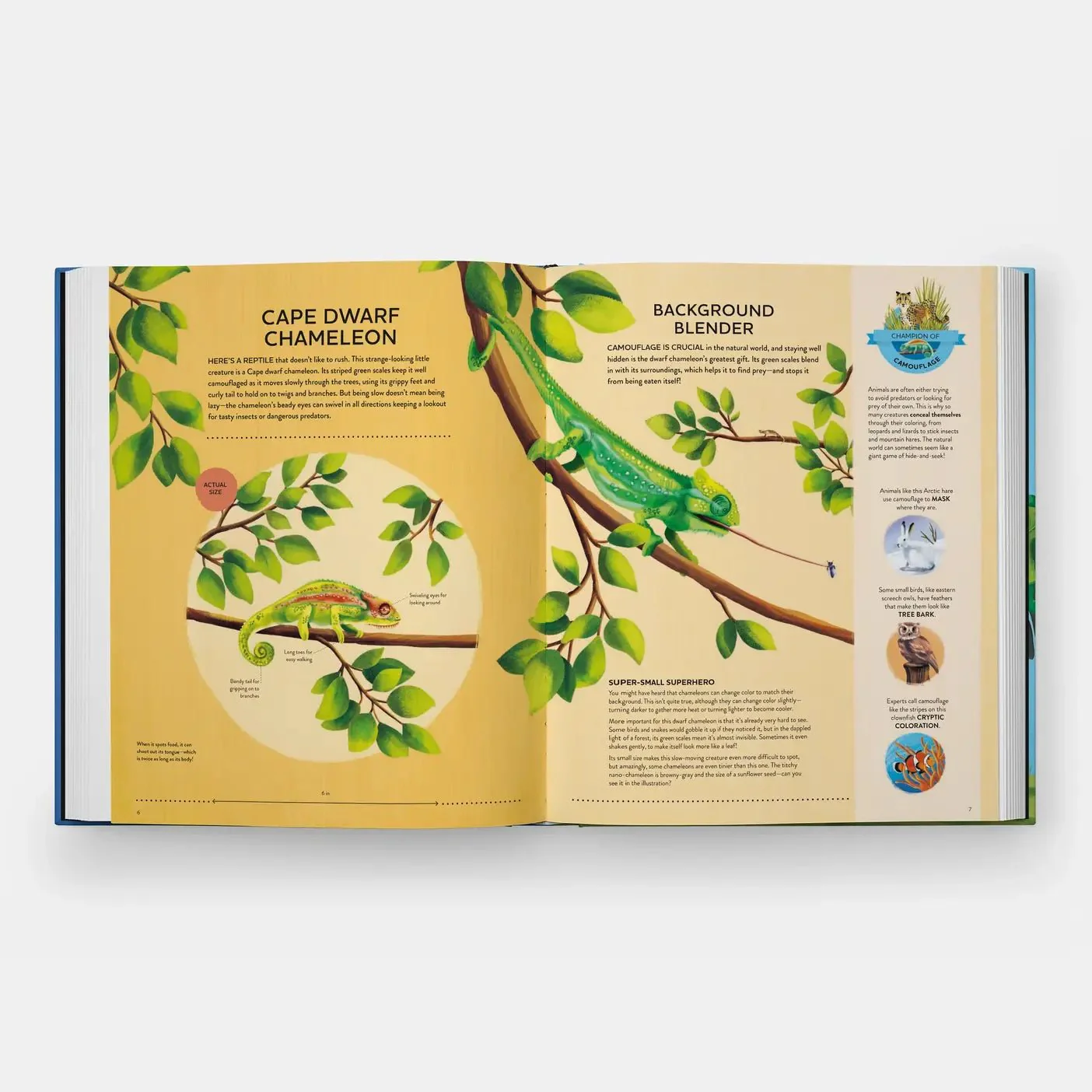 Nature's Tiny Champions: The Big Book of Little Creatures - Image 2