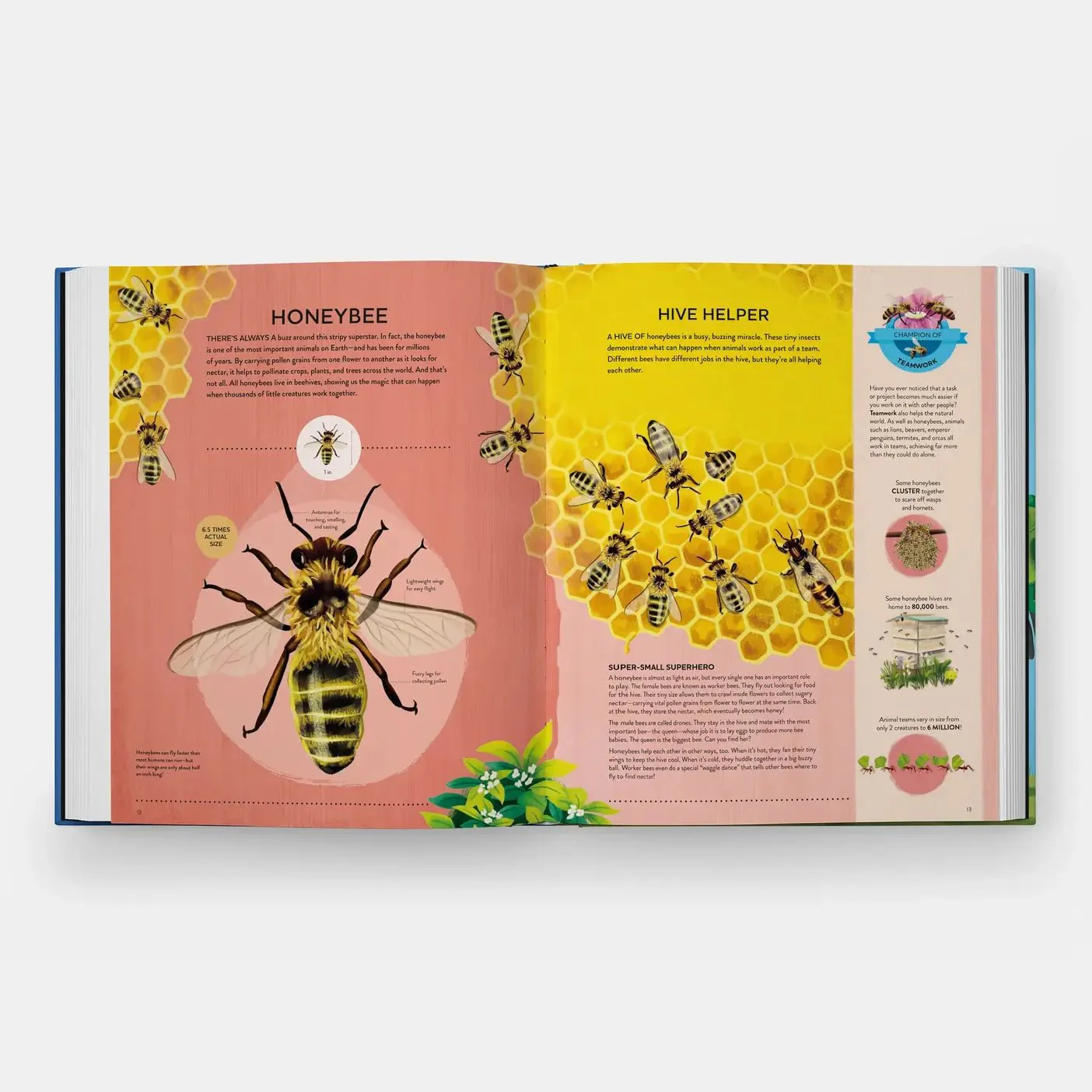 Nature's Tiny Champions: The Big Book of Little Creatures - Image 3