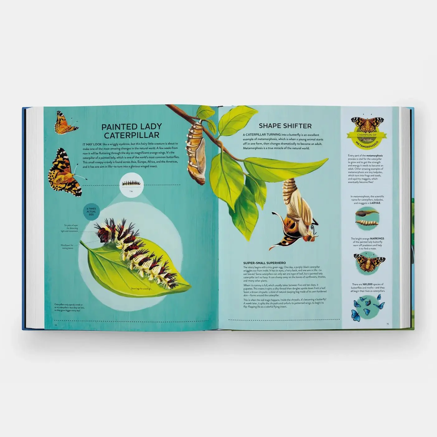 Nature's Tiny Champions: The Big Book of Little Creatures - Image 4