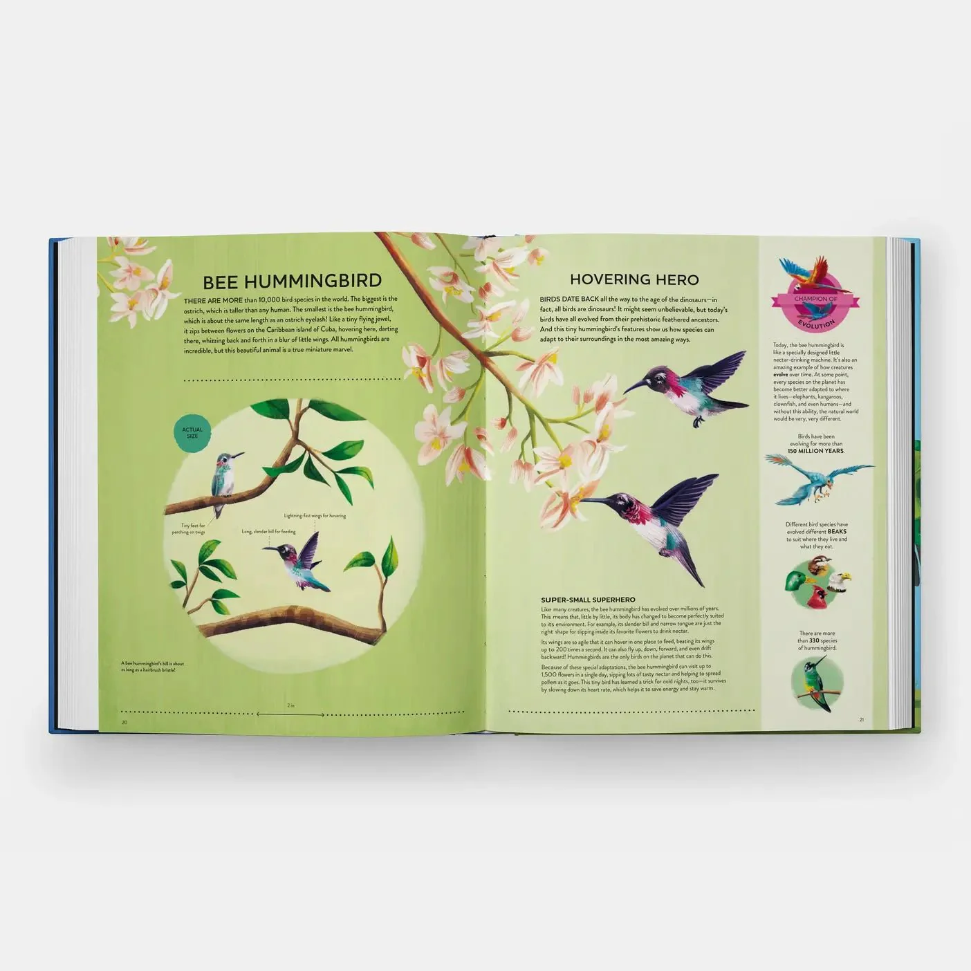 Nature's Tiny Champions: The Big Book of Little Creatures - Image 5