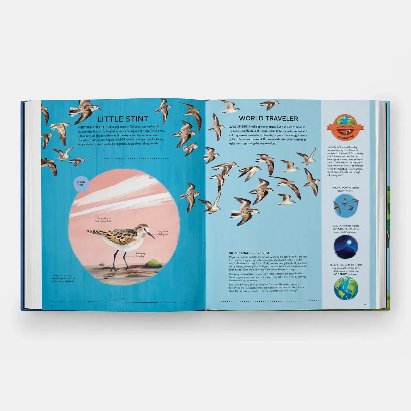 Nature's Tiny Champions: The Big Book of Little Creatures - Image 6