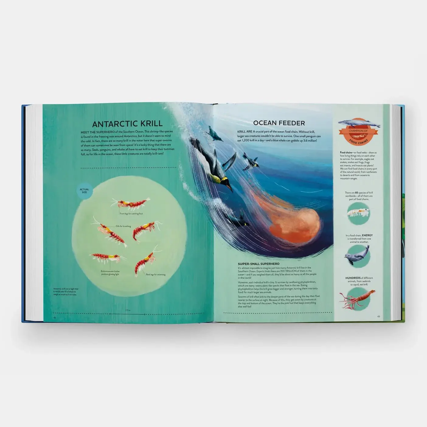 Nature's Tiny Champions: The Big Book of Little Creatures - Image 7
