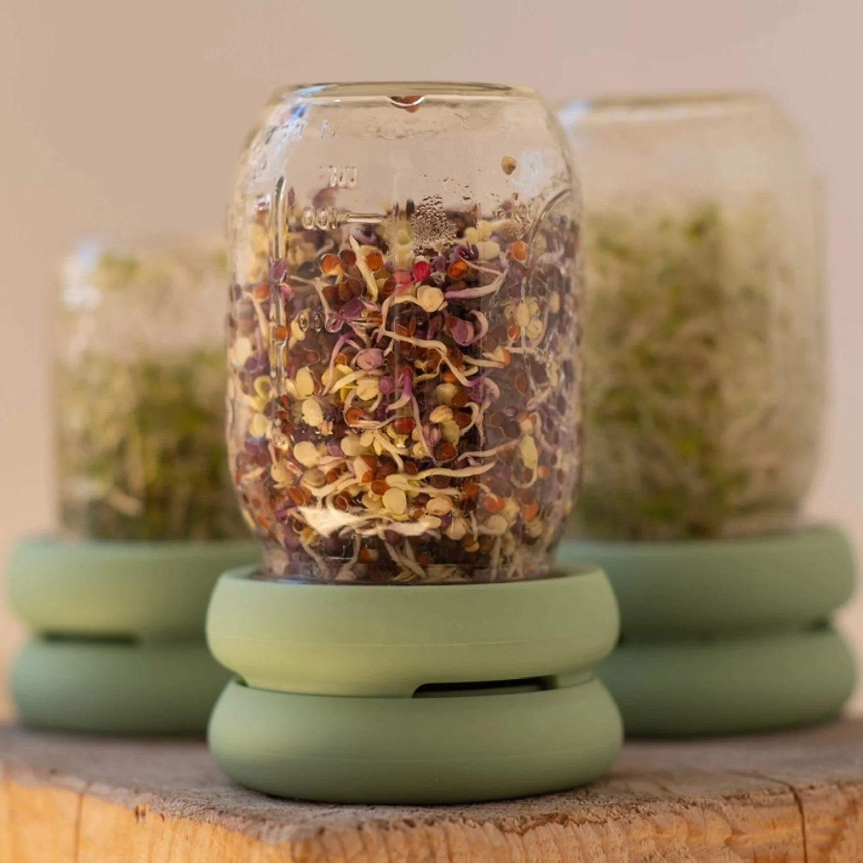 Sprout Hugger - Image 4