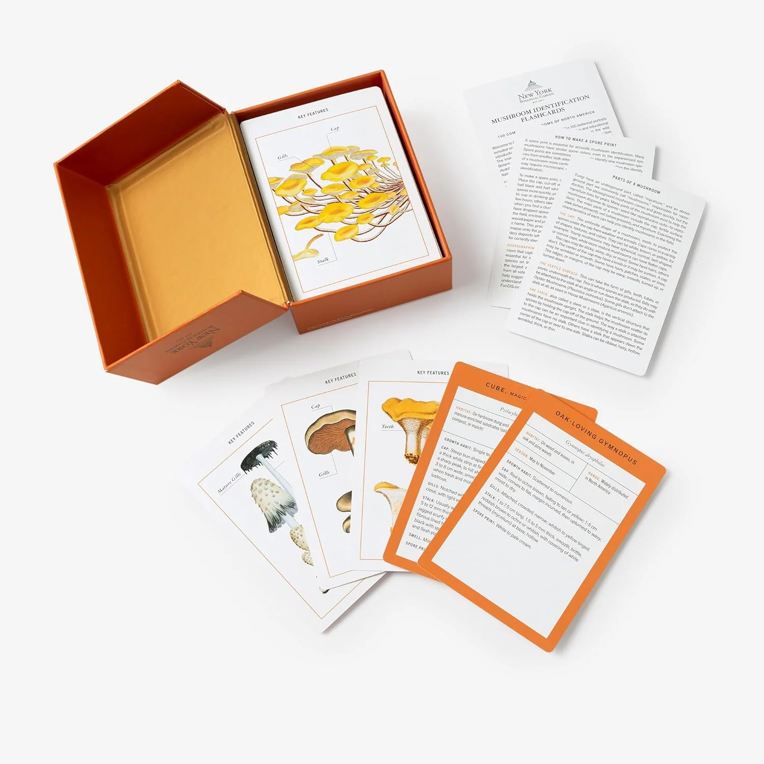 New York Botanical Garden Mushroom Identification Flashcards - Image 2