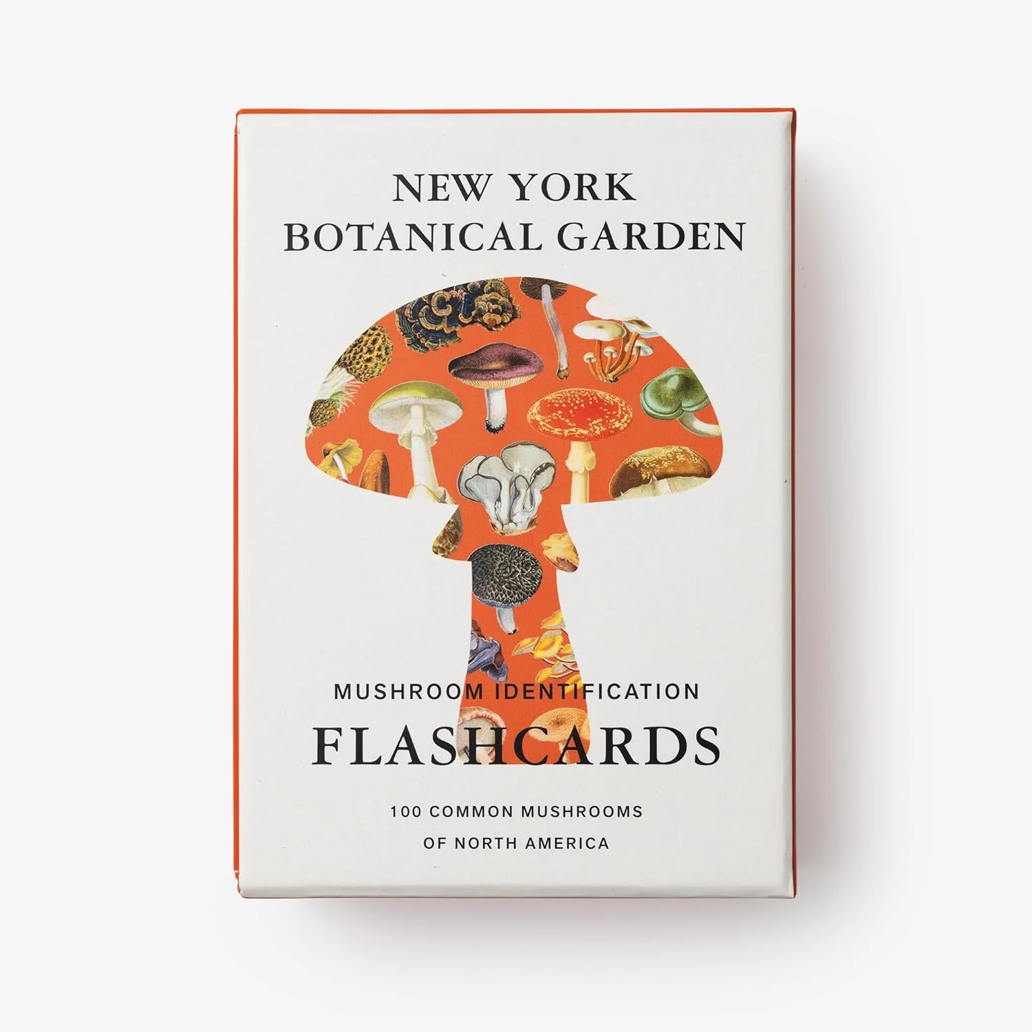 New York Botanical Garden Mushroom Identification Flashcards - Image 3