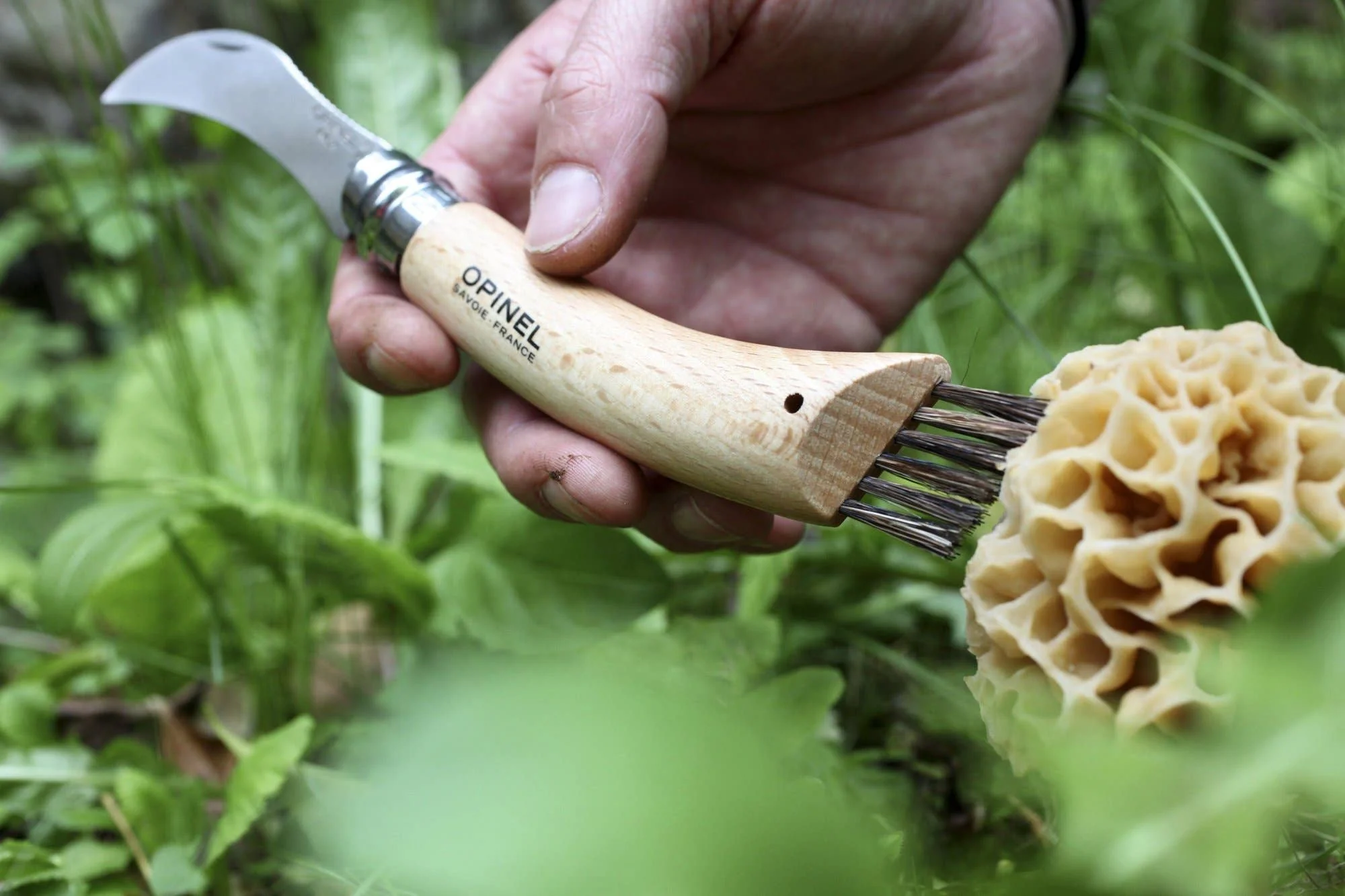 Mushroom Knife with Brush - Image 2