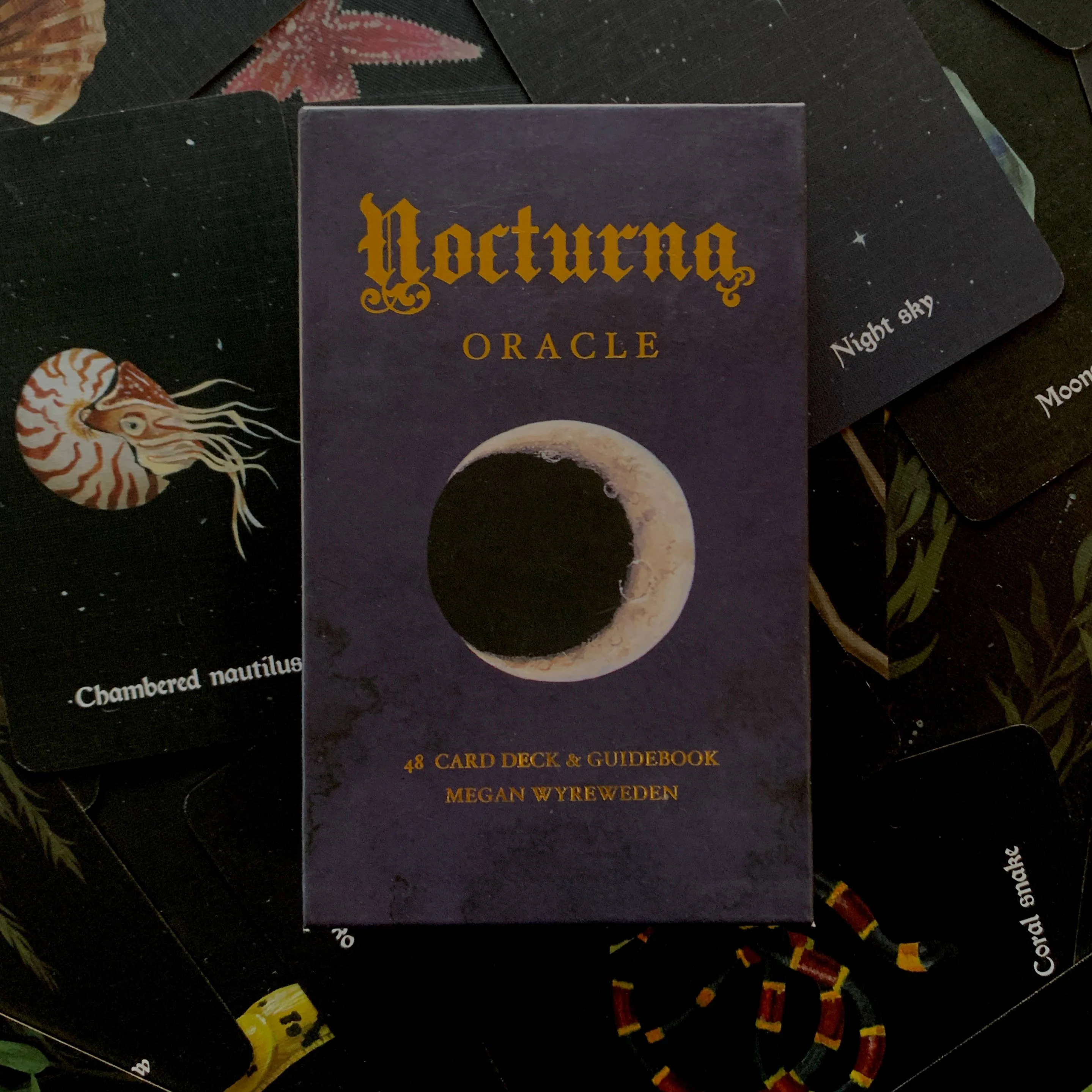 Nocturna Oracle Deck - Image 9
