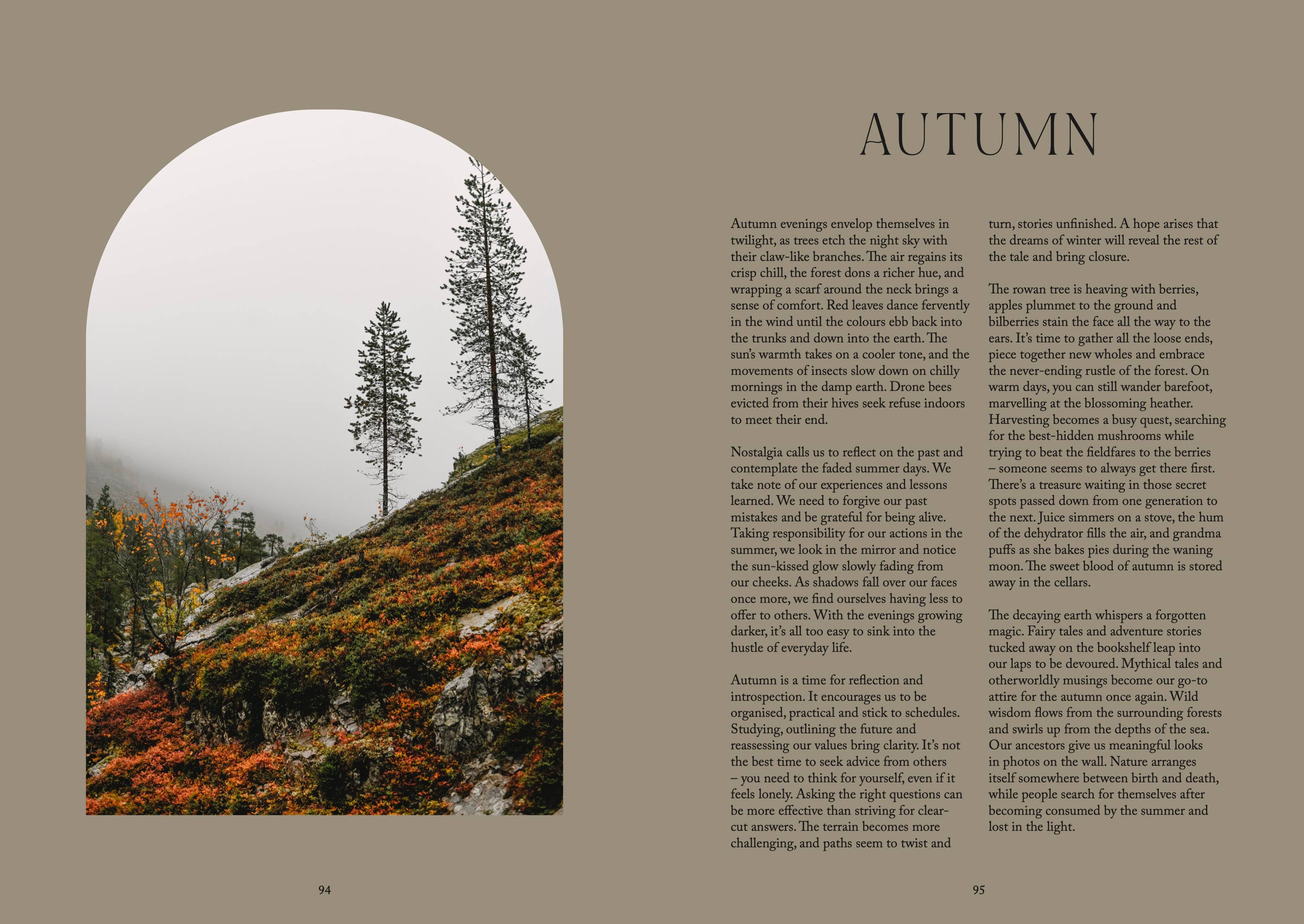 Nordic Magic - Image 13