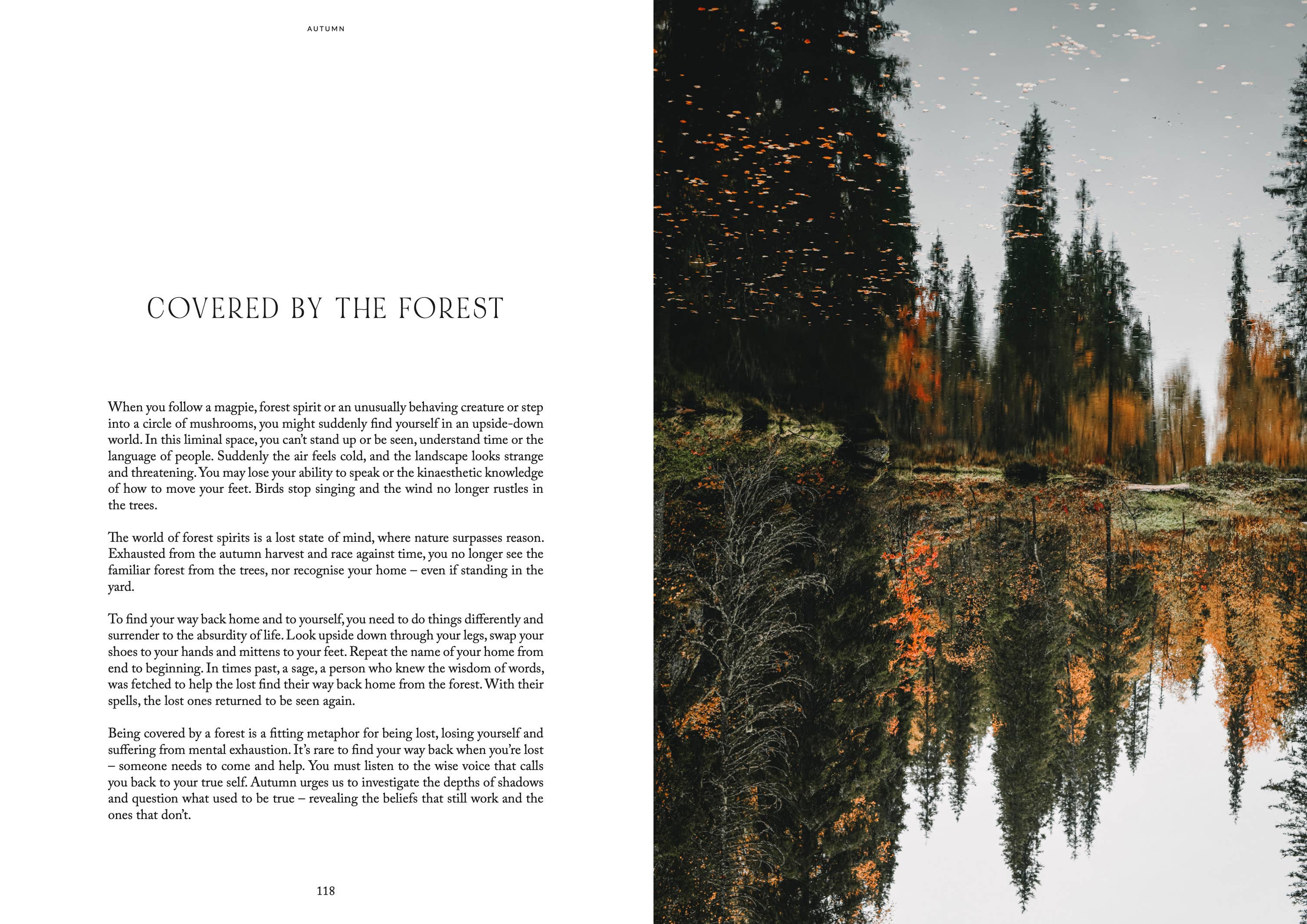 Nordic Magic - Image 16