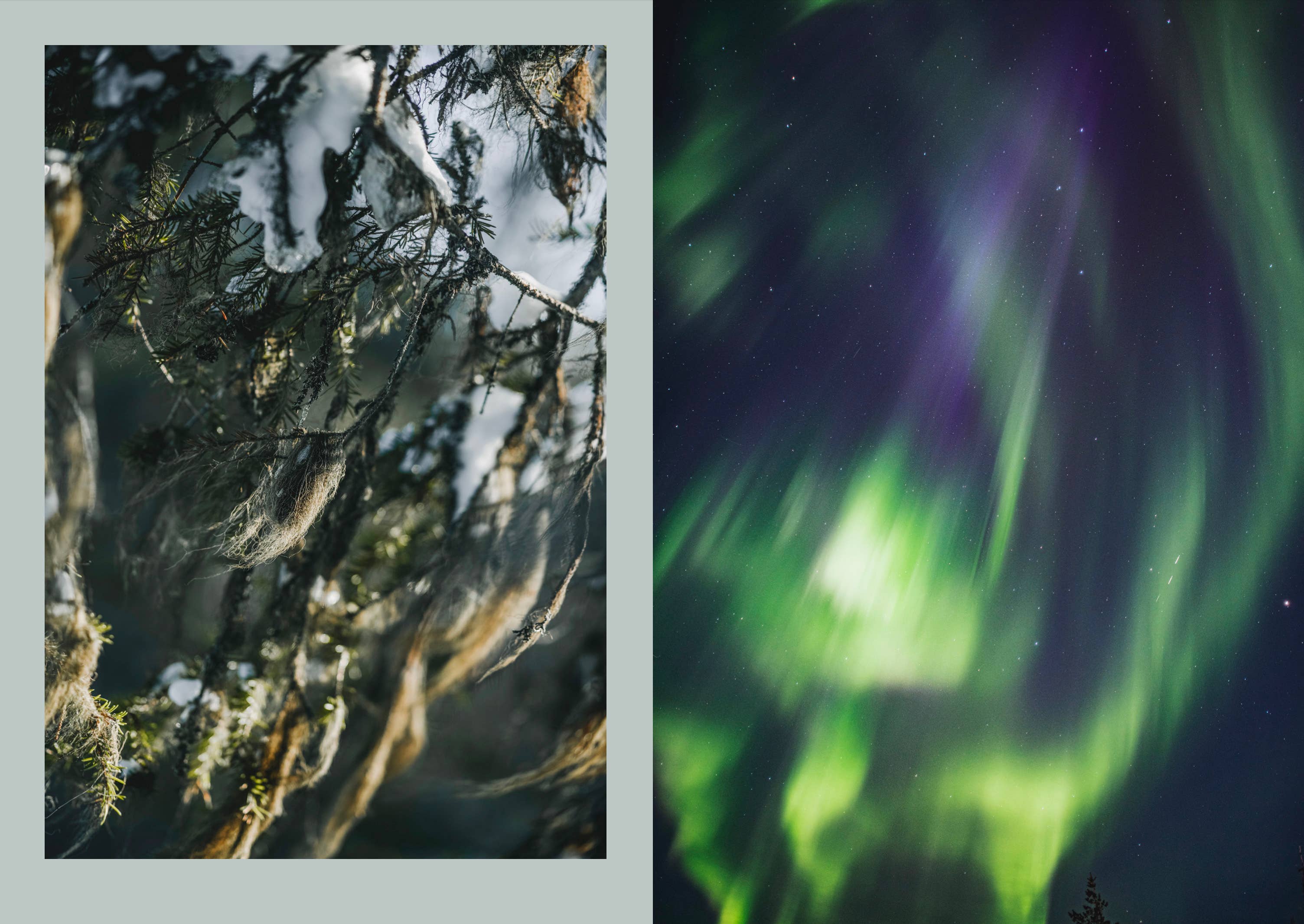 Nordic Magic - Image 20