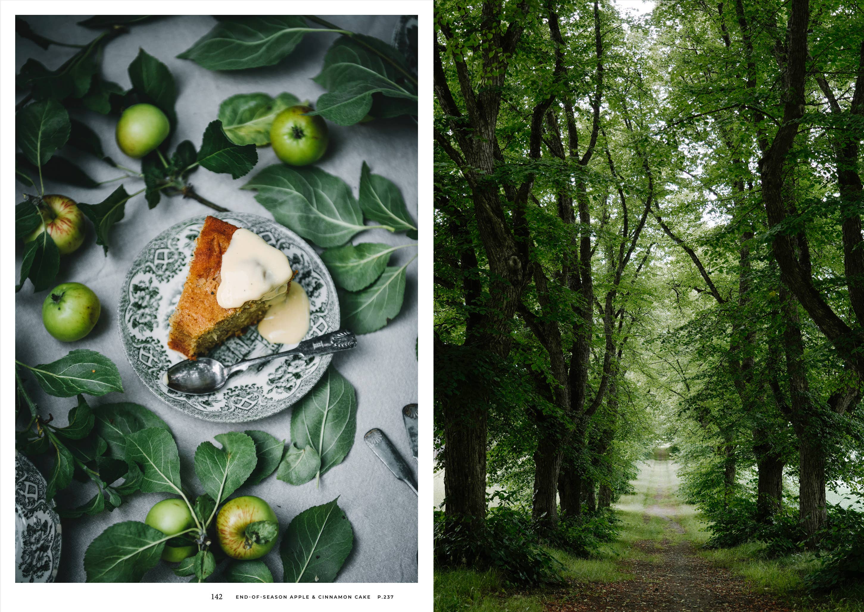 Nordic Summer Cookbook - Image 4