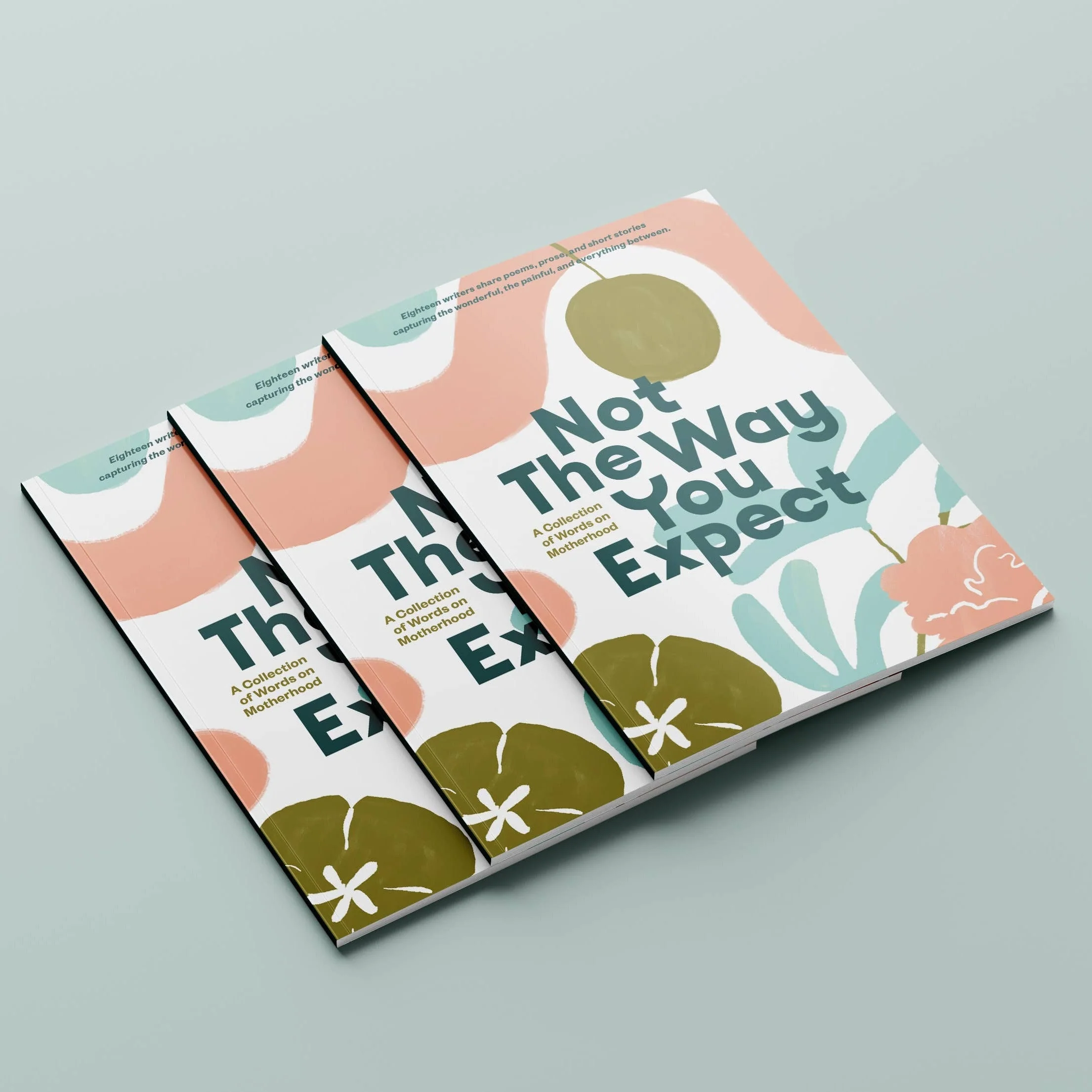 Not The Way You Expect: A Collection of Words on Motherhood - Image 11
