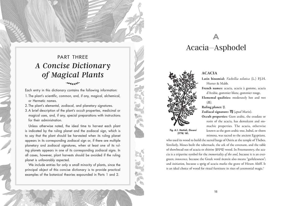 Occult Botany - Image 6