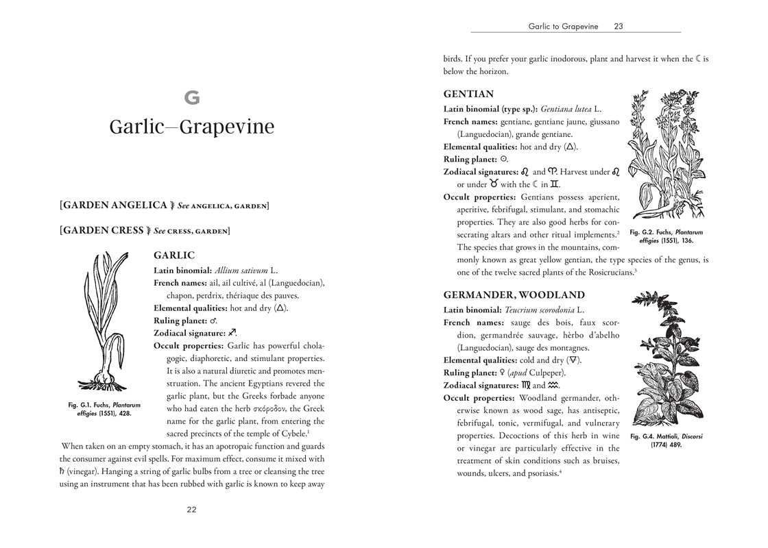 Occult Botany - Image 8