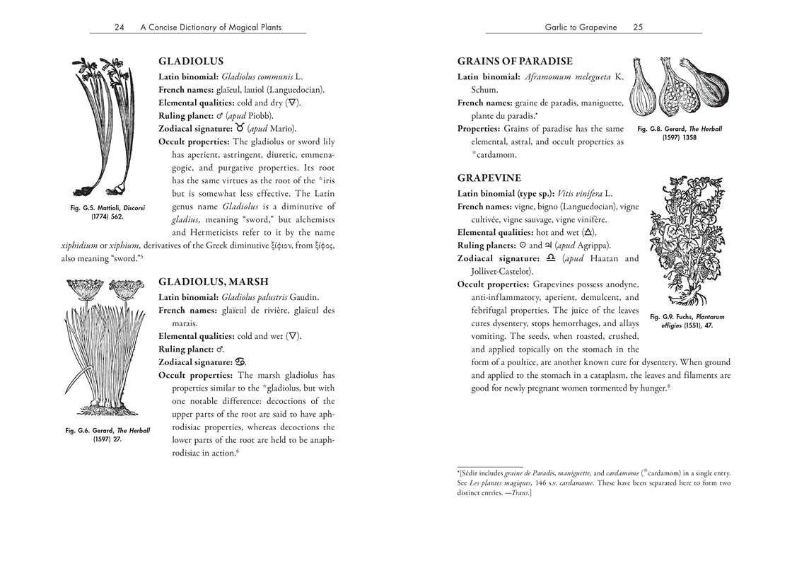 Occult Botany - Image 9