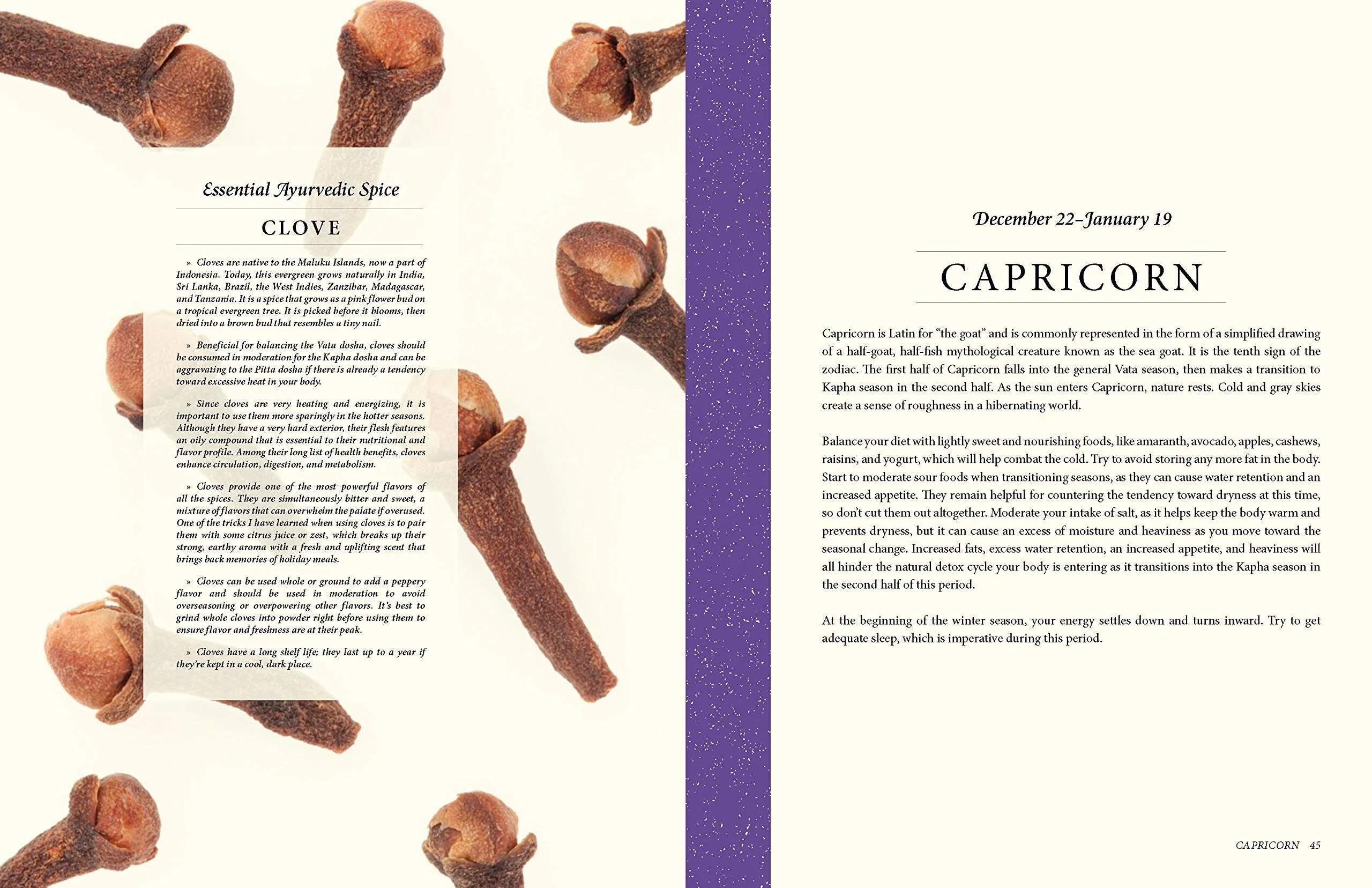 Ojas Cookbook - Image 4