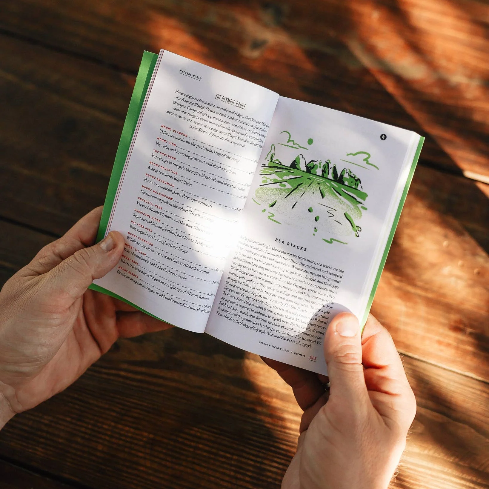 Olympic National Park Guide Book - Image 4