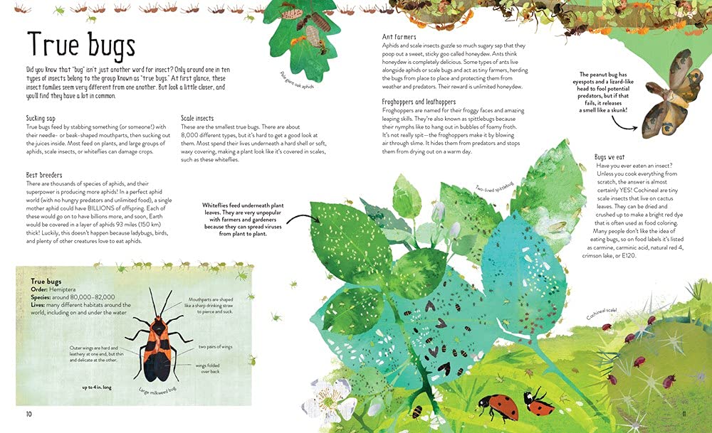 One Million Insects - Image 2