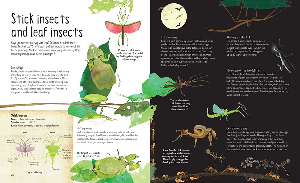 One Million Insects - Image 4