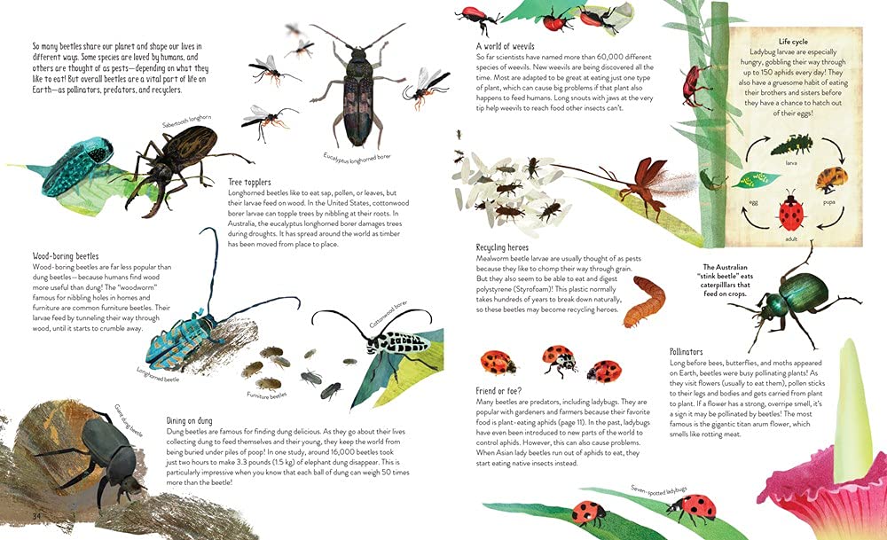One Million Insects - Image 5