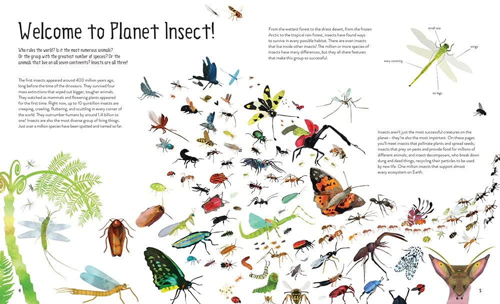 One Million Insects - Image 6