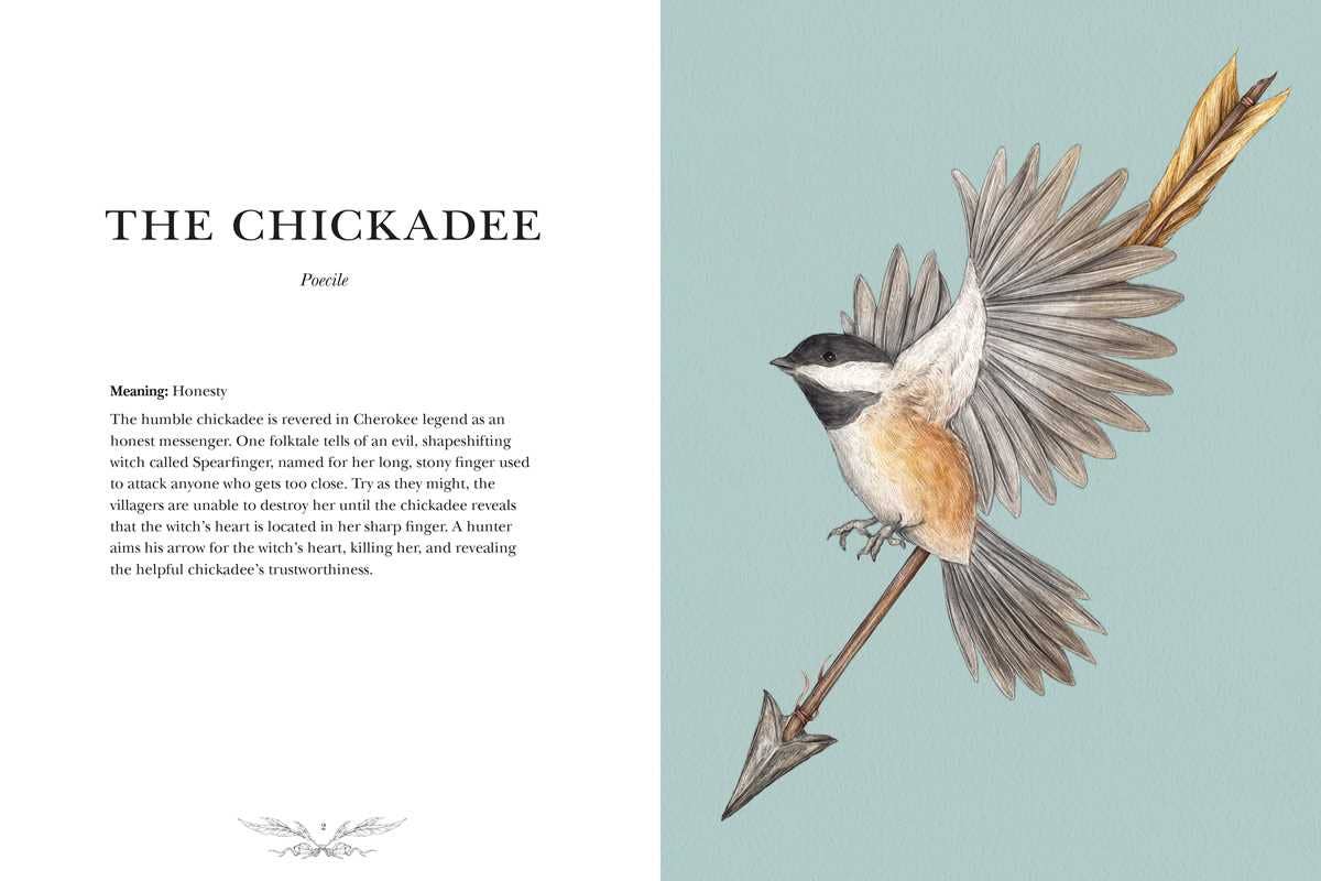 Ornithography - Image 2