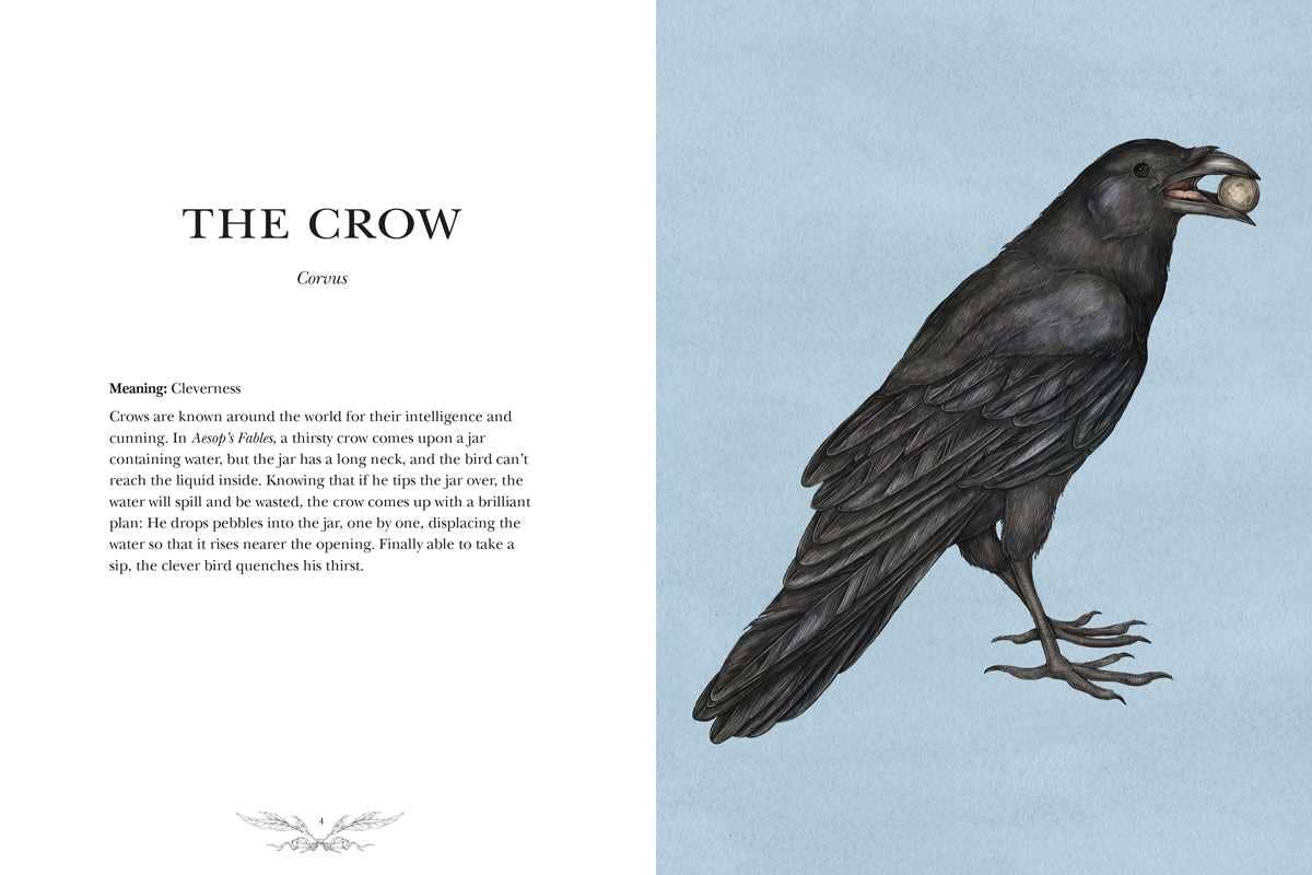 Ornithography - Image 3