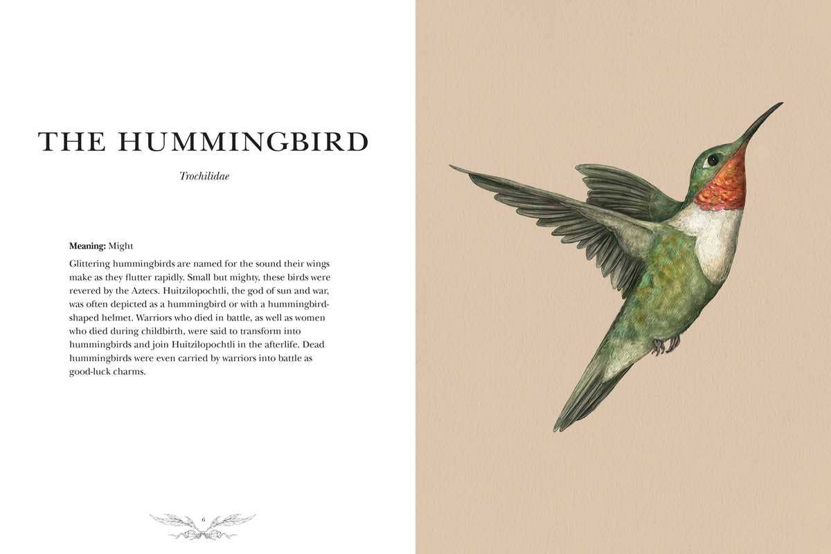 Ornithography - Image 4