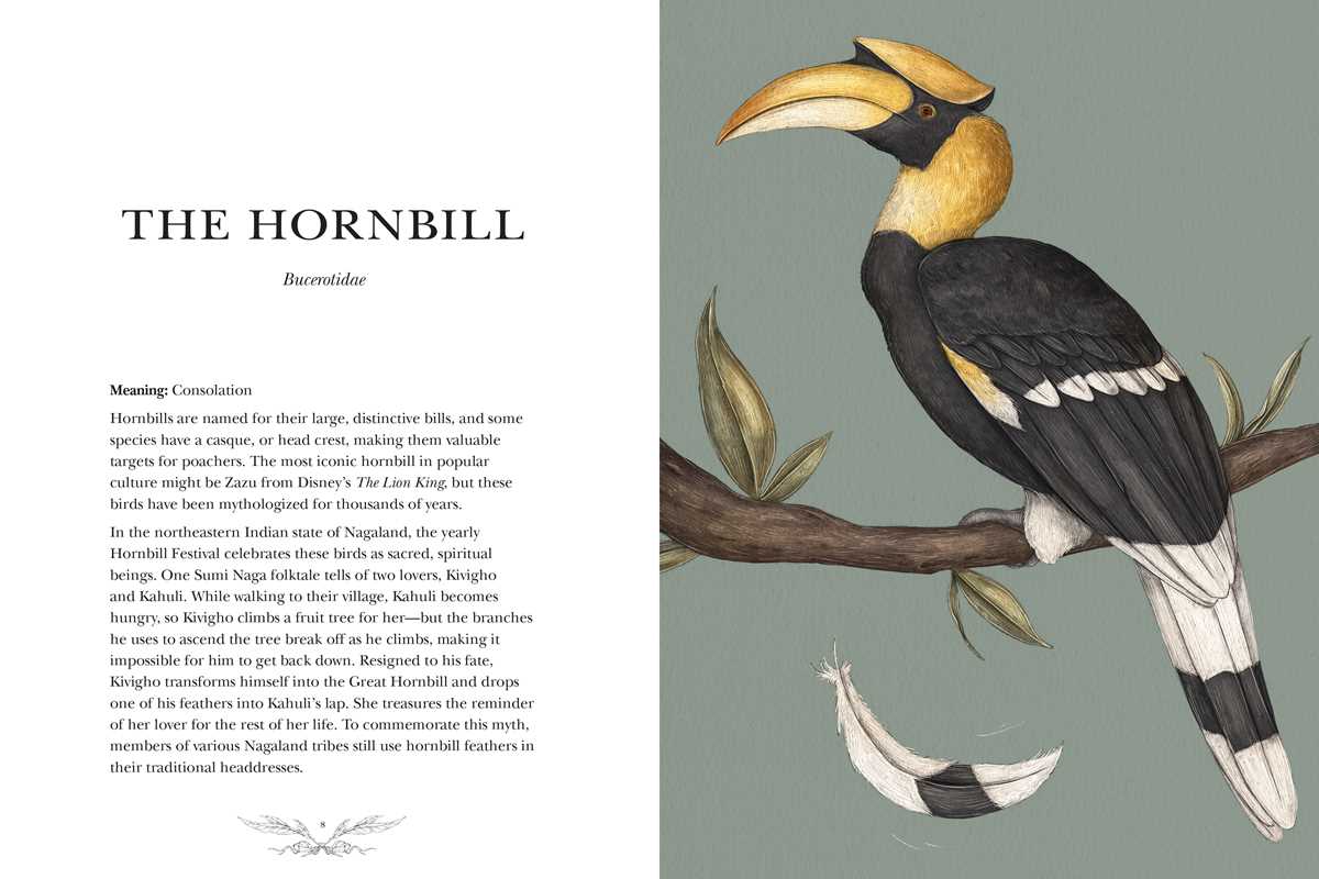 Ornithography - Image 5