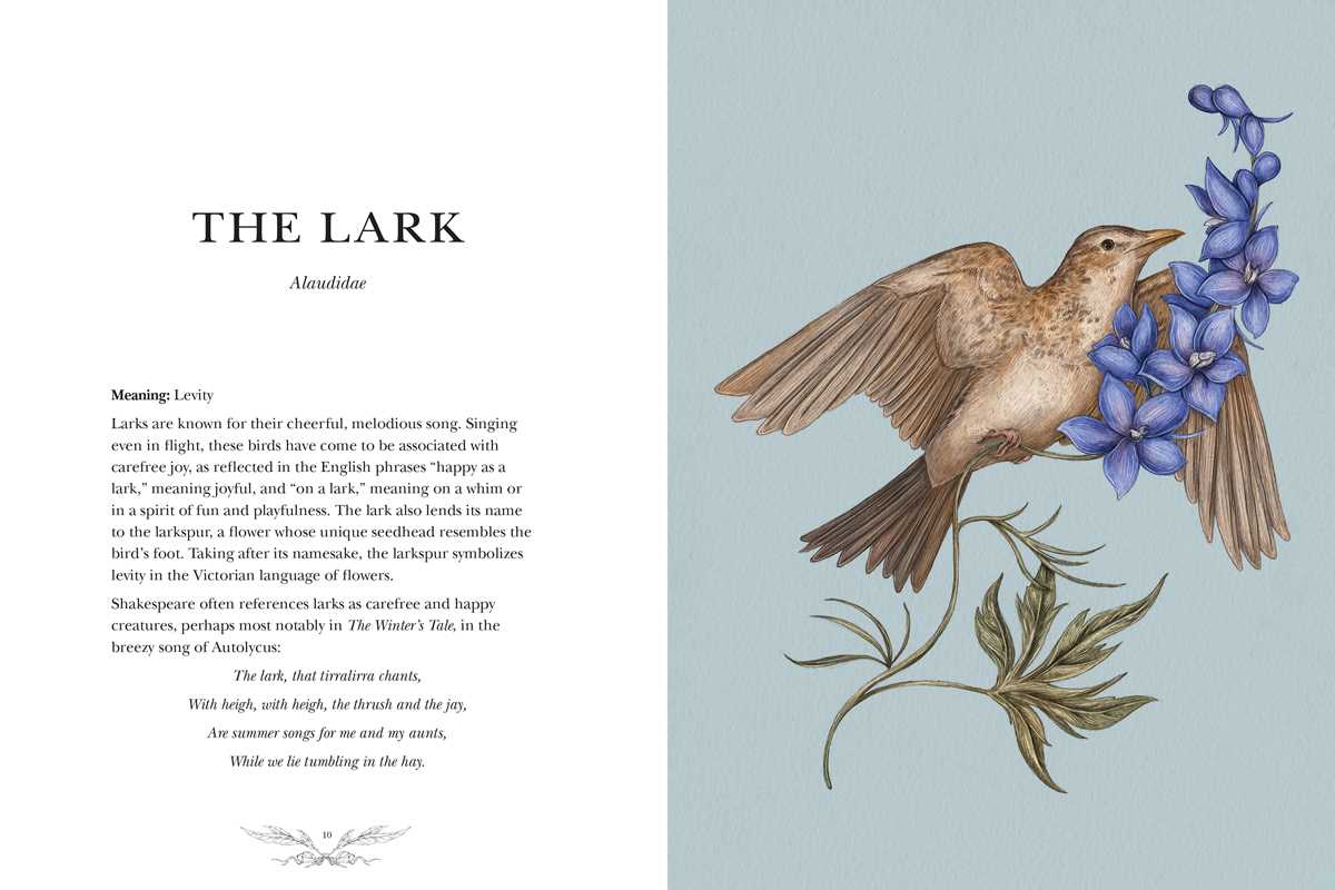 Ornithography - Image 6