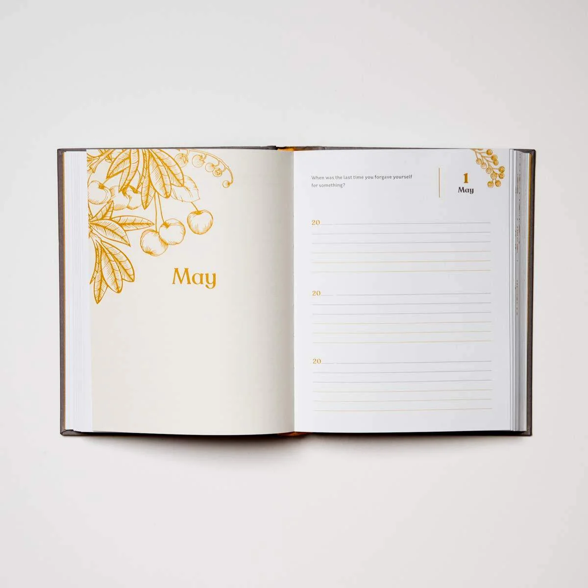 Our Daily Question Journal - Image 2