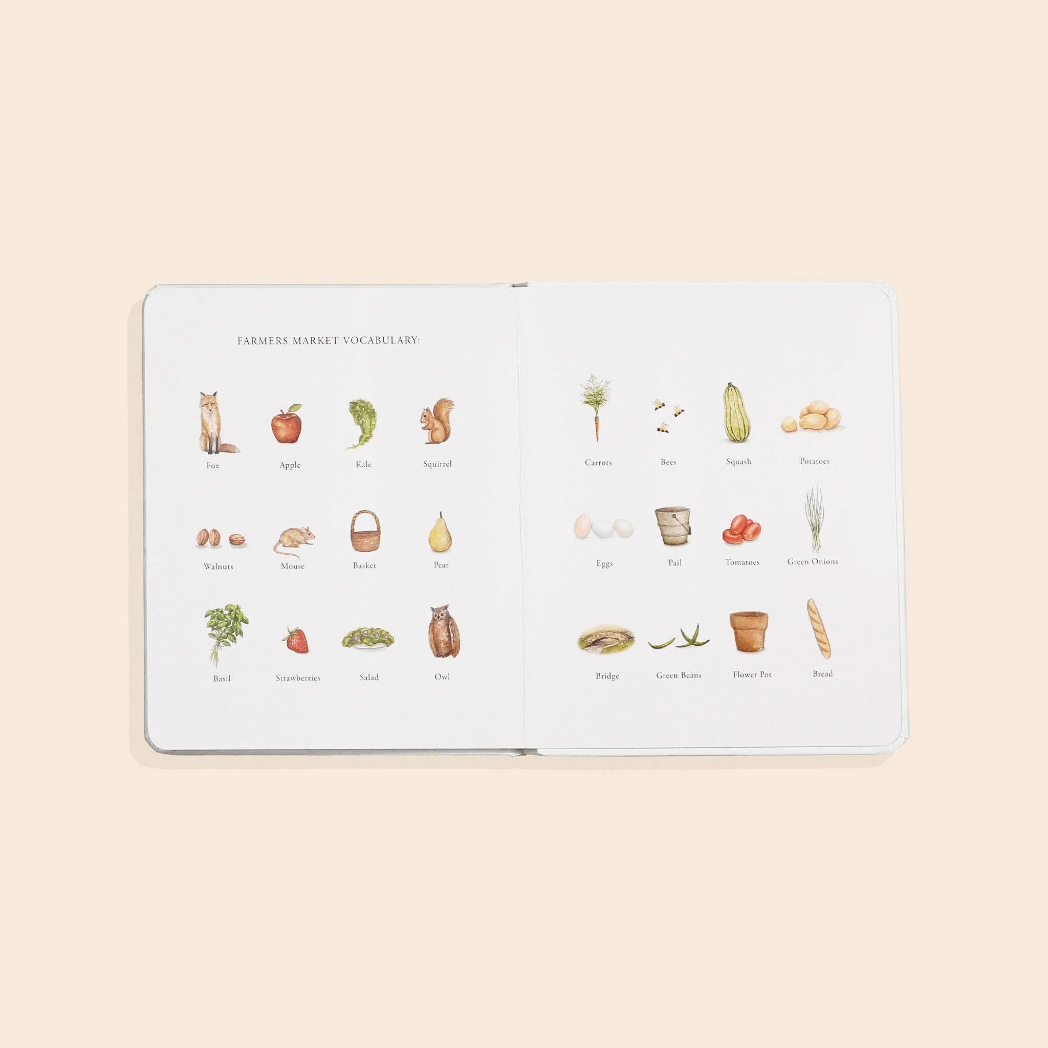 Our Little Adventures to the Farmers Market - Image 4