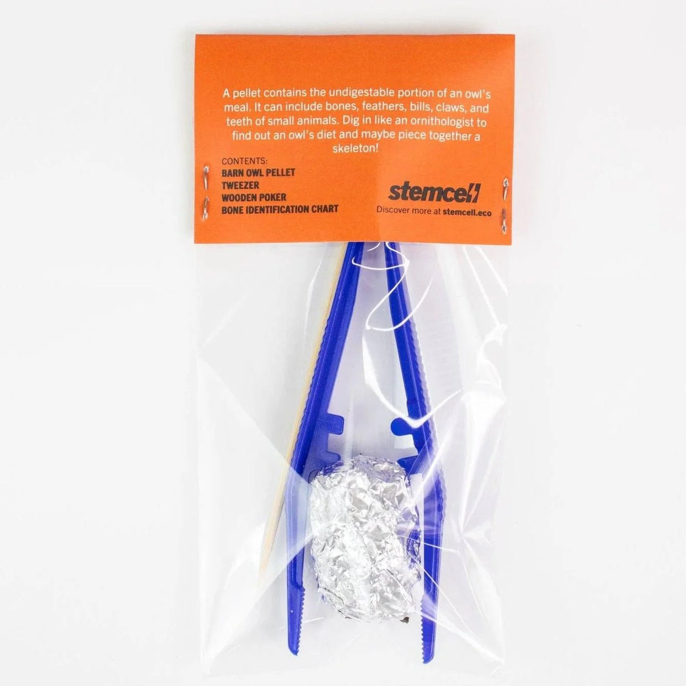 Owl Pellet Dissection Kit - Image 5