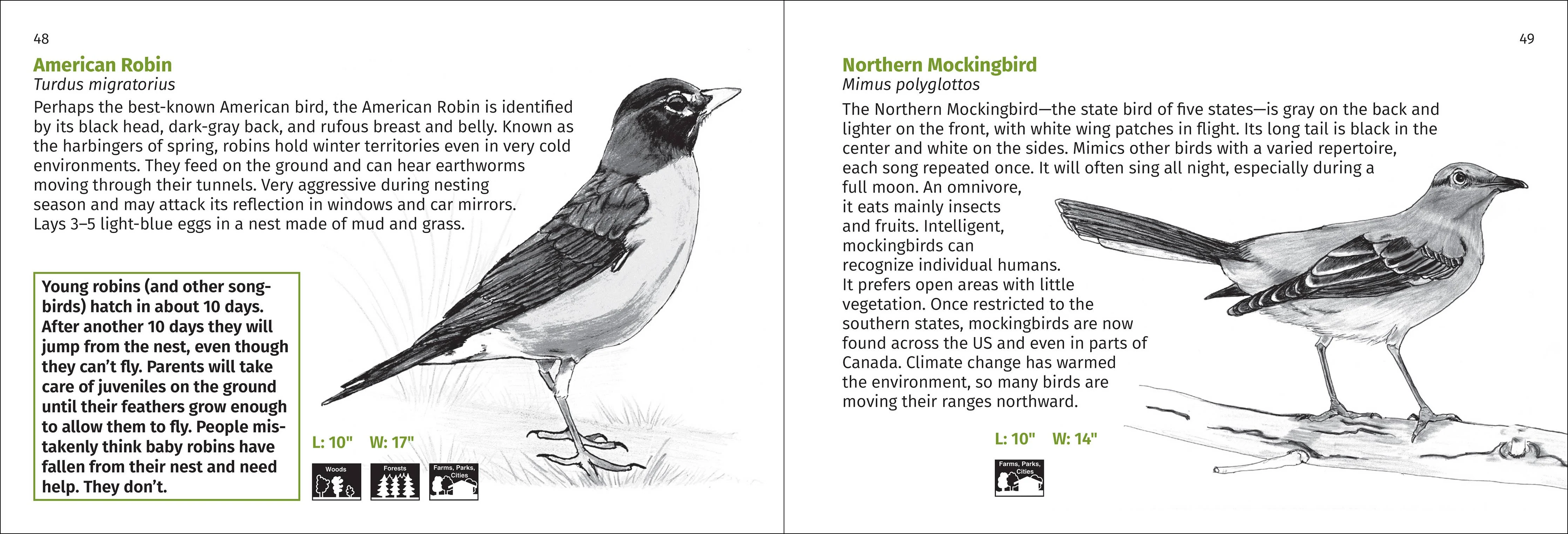 Pacific Coast Bird Finder Pocket Guide - Image 4