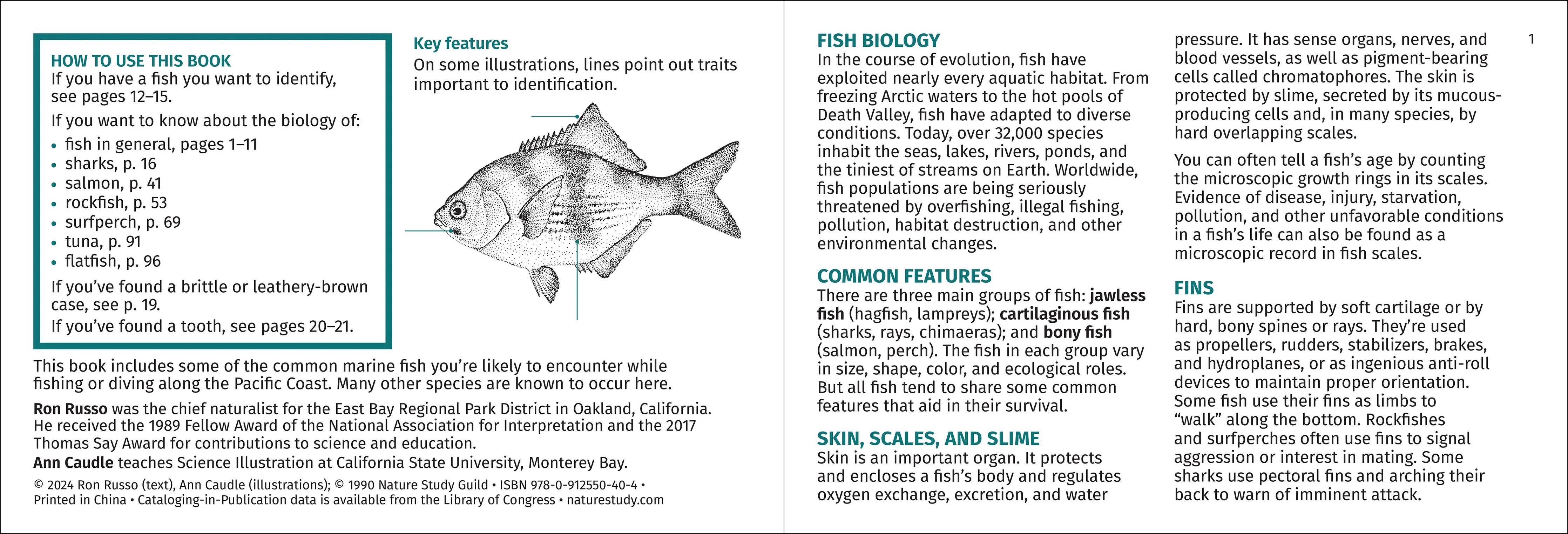 Pacific Coast Fish Finder Pocket Guide - Image 12