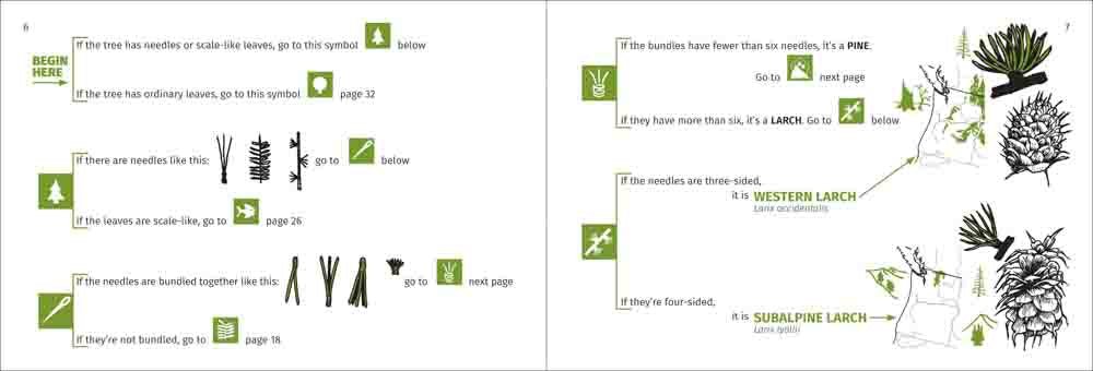 Pacific Coast Tree Finder Pocket Guide - Image 5