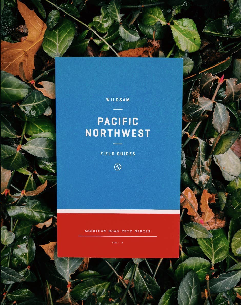 Pacific Northwest Road Trip Guide - Image 4