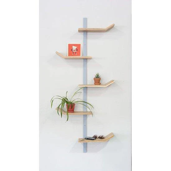 Palm Shelf - Image 2