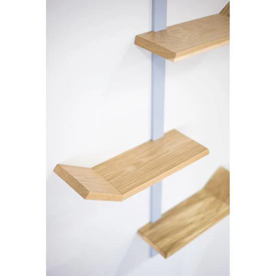 Palm Shelf - Image 3