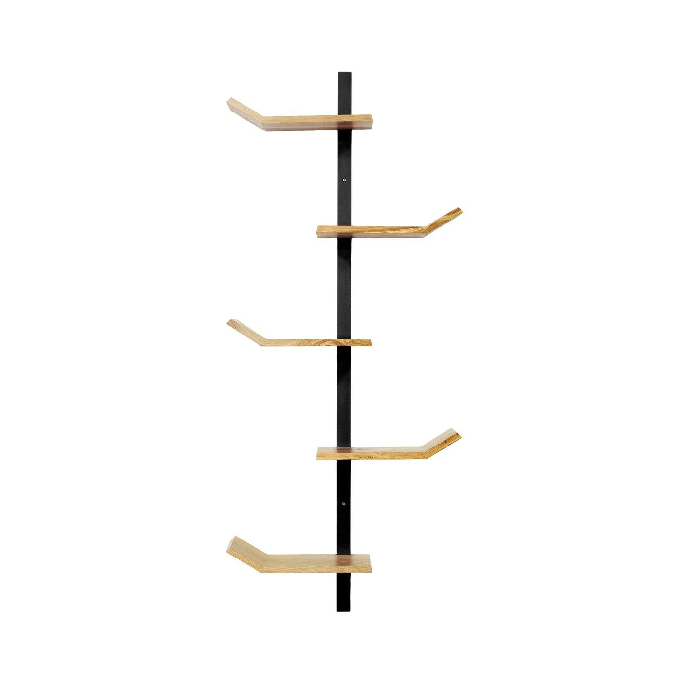 Palm Shelf - Image 5