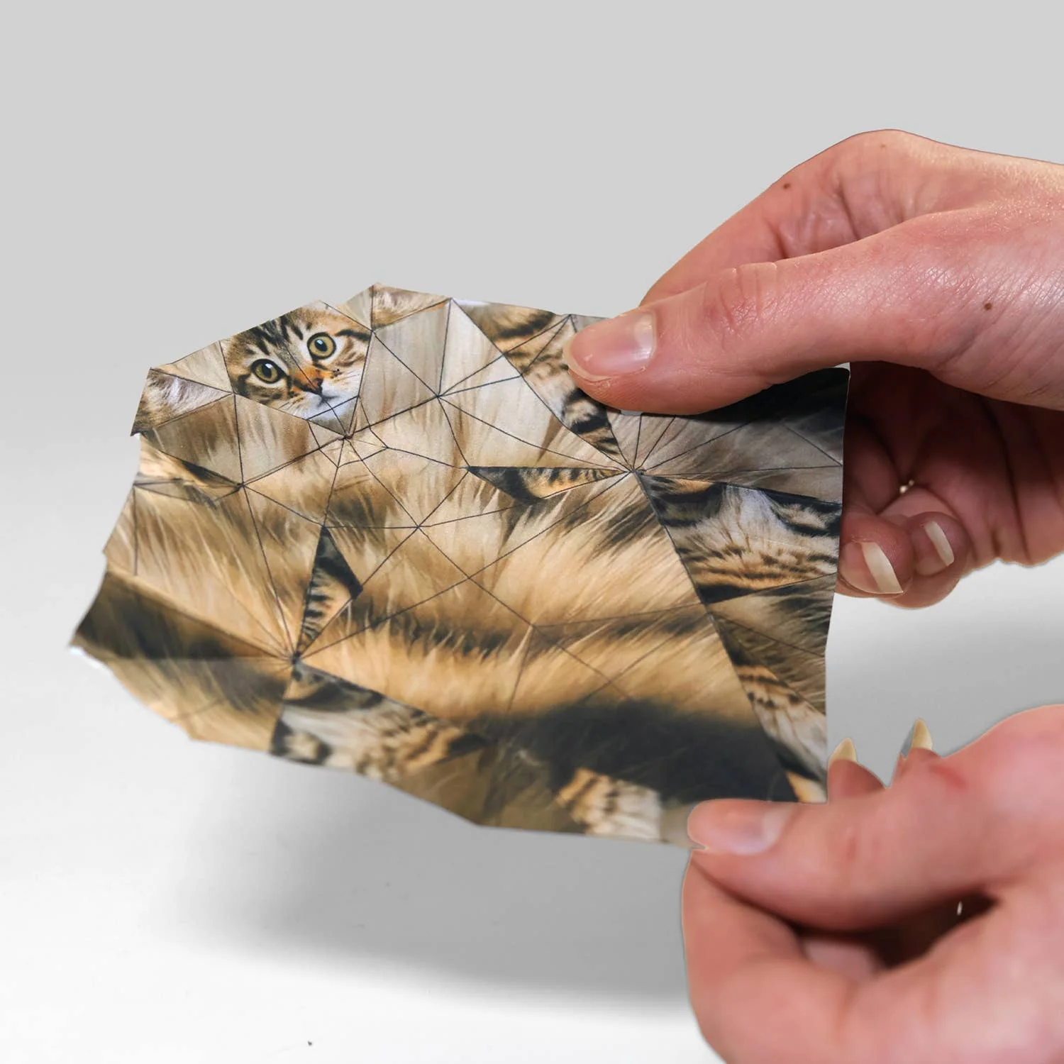 Paper Cats Origami Kit - Image 4
