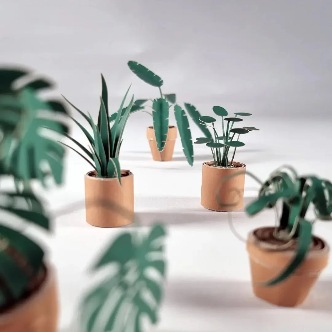 Paper Plants DIY Kit - Image 2