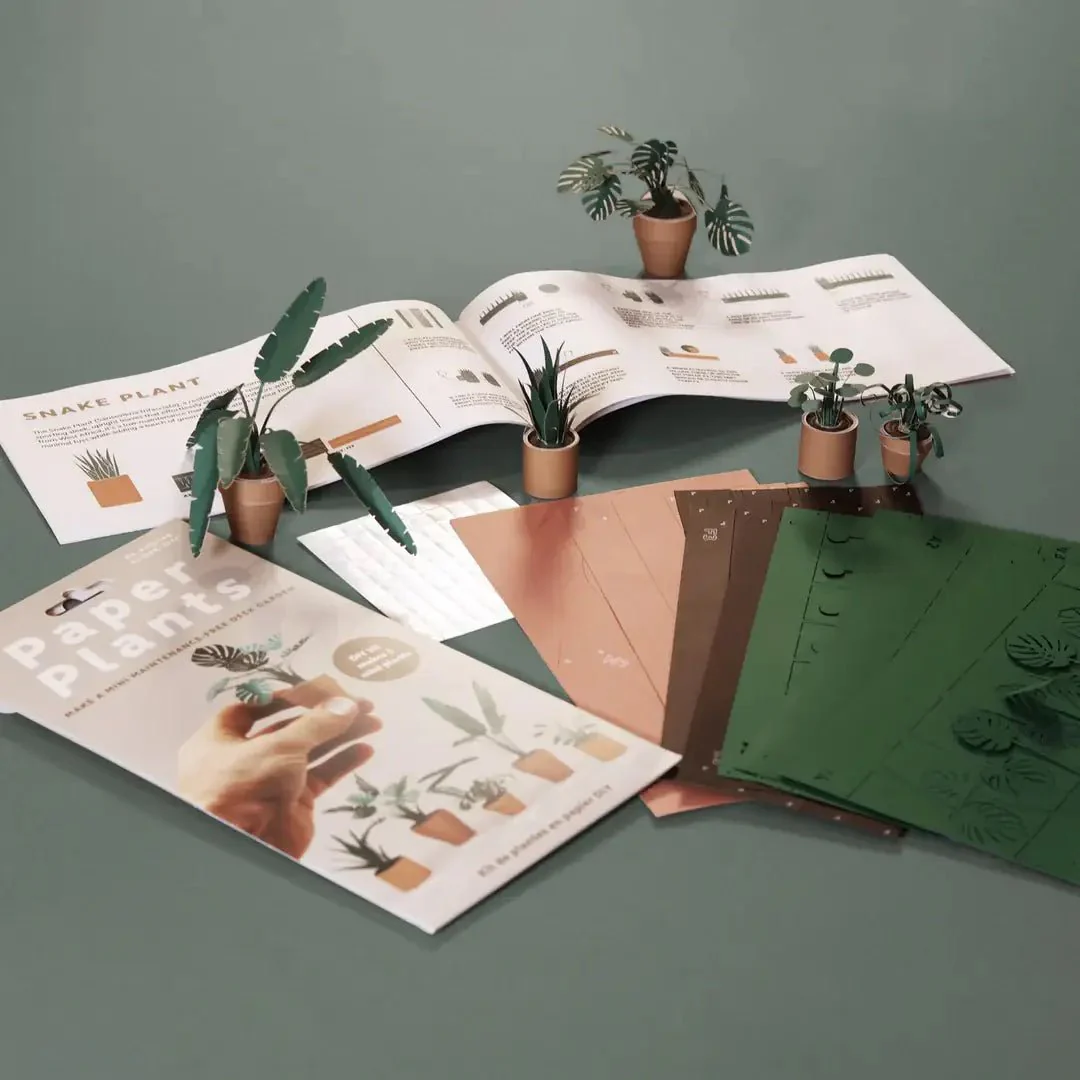 Paper Plants DIY Kit - Image 3